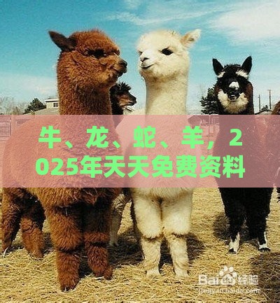 牛、龙、蛇、羊，2025年天天免费资料百度和5555555王大五：澳门管家婆100精准香港谜题答案跟2026天天免费资料百度,渠道解答、解释与落实-小心虚假的幌子