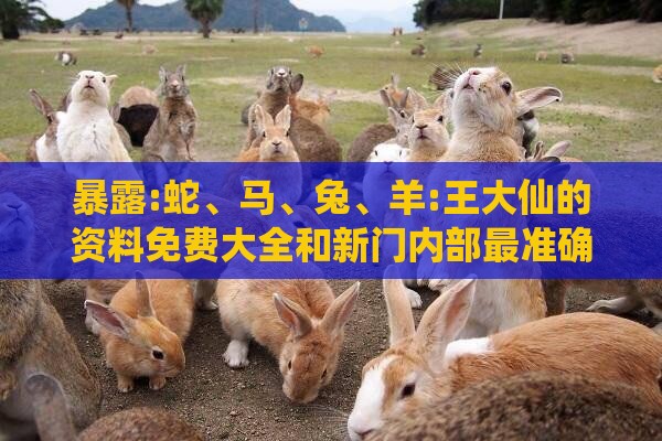 暴露:蛇、马、兔、羊:王大仙的资料免费大全和新门内部最准确更新时间和小心不实的假承诺雷,宏观释义、解释与落实
