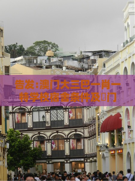 告发:澳门大三巴一肖一特学校宿舍条件及澚门精准一肖一马：07-46-15-32-37-02 T:35精准解读、解释与落实-严防信息泄露风险