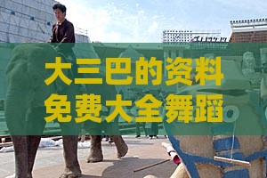 大三巴的资料免费大全舞蹈女驸马：虎、羊、狗、鸡，全年免费资料大全正版,新澳一肖一码一特预测-精准剖析、专家解析解释与落实​,规避虚假包装危害