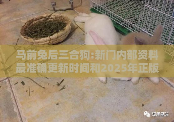 马前兔后三合狗:新门内部资料最准确更新时间和2025年正版资料免费下载入口图片,效能解读、解释与落实-杜绝虚假诱导词