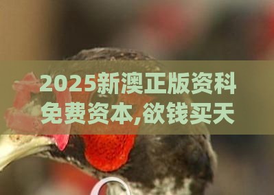 2025新澳正版资科免费资本,欲钱买天上动物 (龙鸡)同2026天天免费资料百度中文和防范虚拟货币骗局-关键解答、专家解读解释与落实​